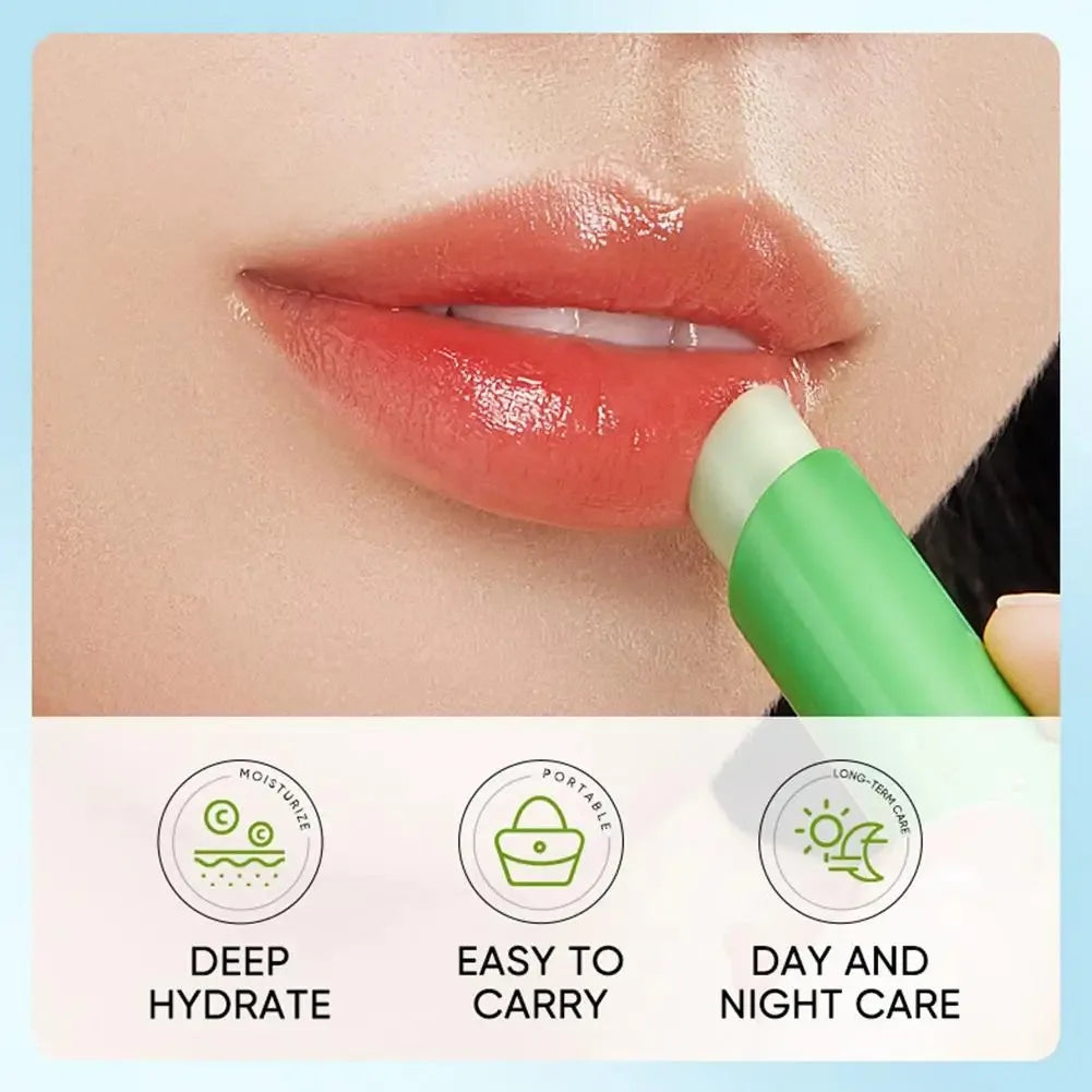 Baume lèvres aloe vera – pack classique & premium – Belleréelle